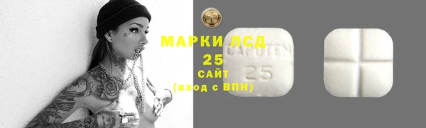 гидропоника Верея