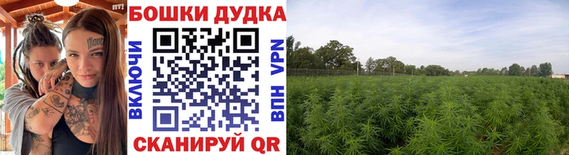 Купить  Снежинск  Шишки марихуана VHQ 
